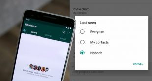 Cara Menghilangkan Status Online di WA