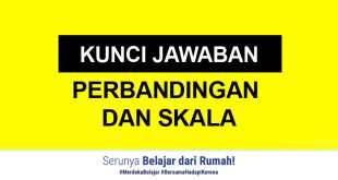 Kunci Jawaban Soal Perbandingan dan Skala SD di TVRI