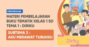 Tematik 1 Subtema 3 Aku Merawat Tubuhku