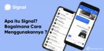 aplikasi signal untuk pesan singkat pengganti whatsapp