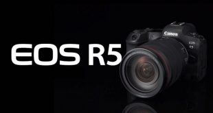 canon eos r5