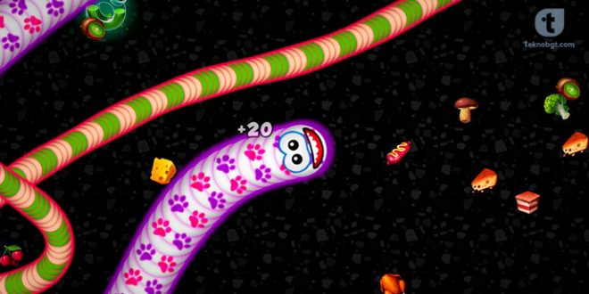 cara bermain worms zone