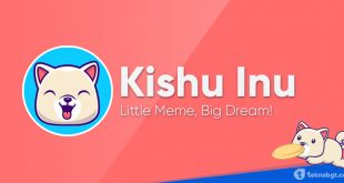 cara mendapatkan token kishu inu