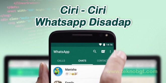 cara mengetahui wa disadap