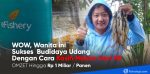 efishery kasih makan udang dari hp
