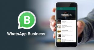 katalog dengan whatsapp business
