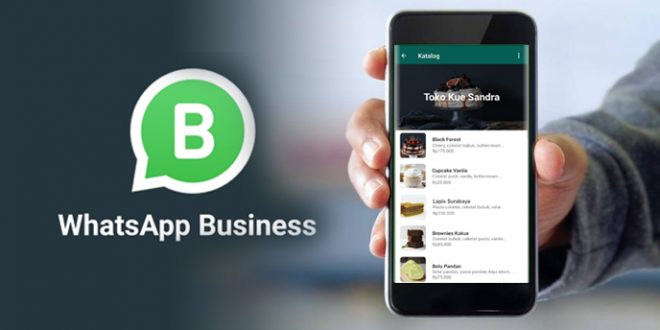 katalog dengan whatsapp business