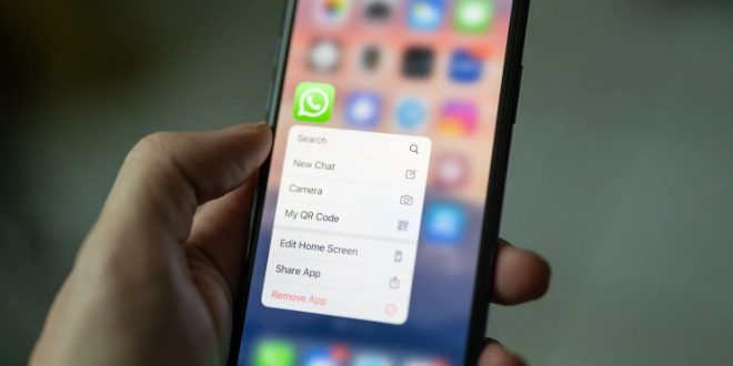 opsi pesan hilang otomatis whatsapp