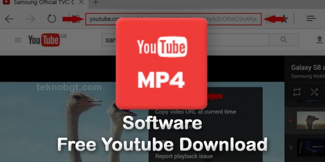 software free youtube download