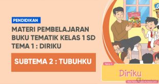 tematik kelas 1 SD tema 1 diriku subtema tubuhku