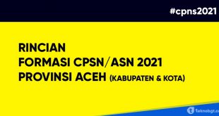 formasi cpns asn 2021