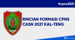 formasi cpns dan pppk kalimantan tengah 2021