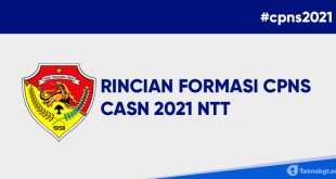 formasi cpns pppk NTT 2021 pdf
