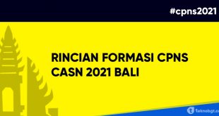 rincian formasi cpns asn 2021 bali