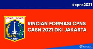 rincian formasi cpns asn dki jakarta 2021