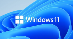 windows 11 wallpaper