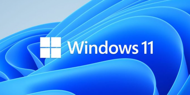 windows 11 wallpaper