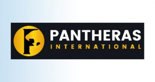 pantheras teknologi internasional