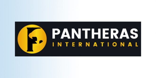 pantheras teknologi internasional