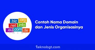 Contoh Nama Domain dan Jenis Organisasinya