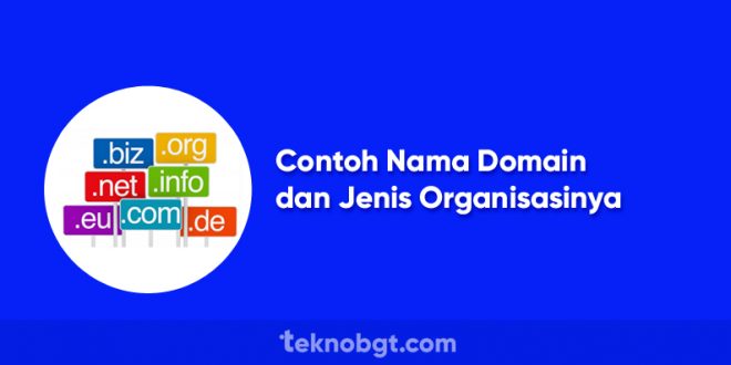 Contoh Nama Domain dan Jenis Organisasinya