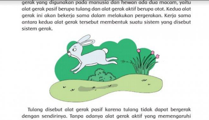 Tampilan cerita dari tema 1 pembelajaran 1 organ gerak hewan dan manusia