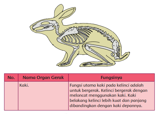 kunci jawaban halaman 13 tema 1 kelas 5