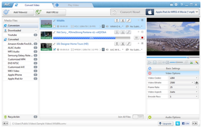 Any Video Converter