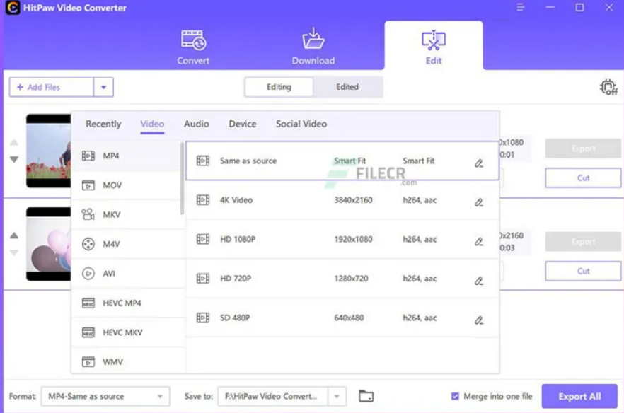 Hitpaw Video Converter