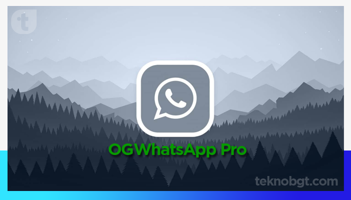 OGWhatsApp Pro