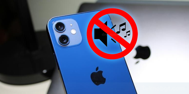 Program Layanan Masalah Suara iPhone 12