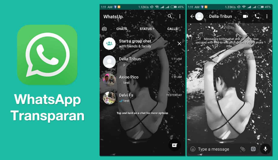 Whatsapp Transparan