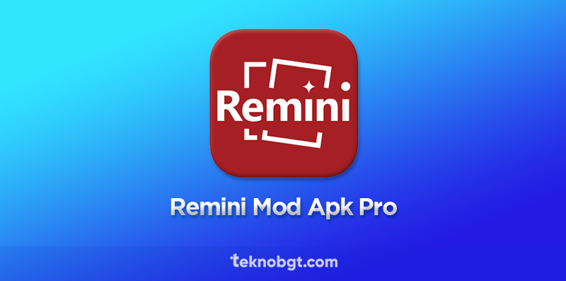 Remini Mod Apk Pro