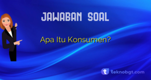 Apa Itu Konsumen?