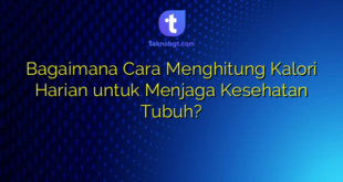 Bagaimana Cara Menghitung Kalori Harian untuk Menjaga Kesehatan Tubuh?