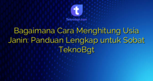 Bagaimana Cara Menghitung Usia Janin: Panduan Lengkap untuk Sobat TeknoBgt
