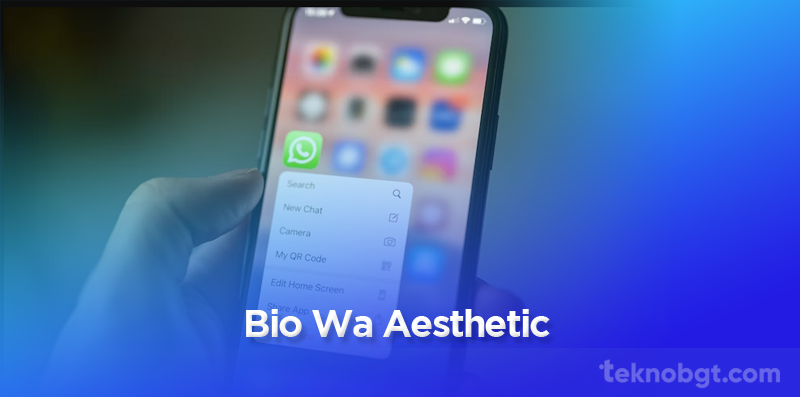 Bio Wa Aesthetic