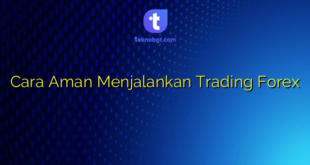 Cara Aman Menjalankan Trading Forex
