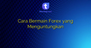 Cara Bermain Forex yang Menguntungkan