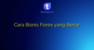 Cara Bisnis Forex yang Benar