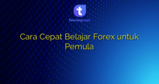 Cara Cepat Belajar Forex untuk Pemula