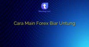 Cara Main Forex Biar Untung