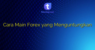Cara Main Forex yang Menguntungkan