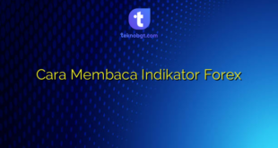 Cara Membaca Indikator Forex