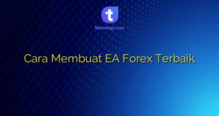 Cara Membuat EA Forex Terbaik