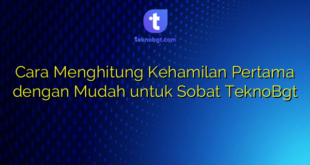 Cara Menghitung Kehamilan Pertama dengan Mudah untuk Sobat TeknoBgt