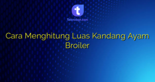 Cara Menghitung Luas Kandang Ayam Broiler