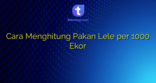 Cara Menghitung Pakan Lele per 1000 Ekor