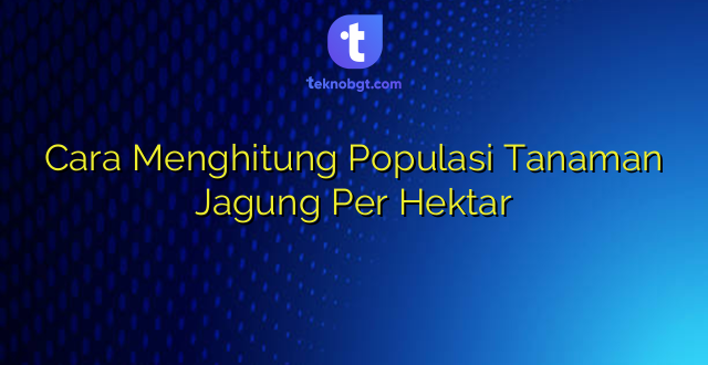 Cara Menghitung Populasi Tanaman Jagung Per Hektar