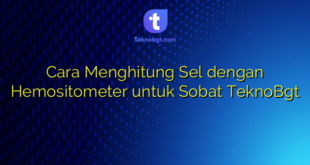 Cara Menghitung Sel dengan Hemositometer untuk Sobat TeknoBgt